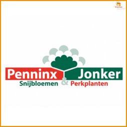 Penninx Jonker Snijbloemen en Perkplanten